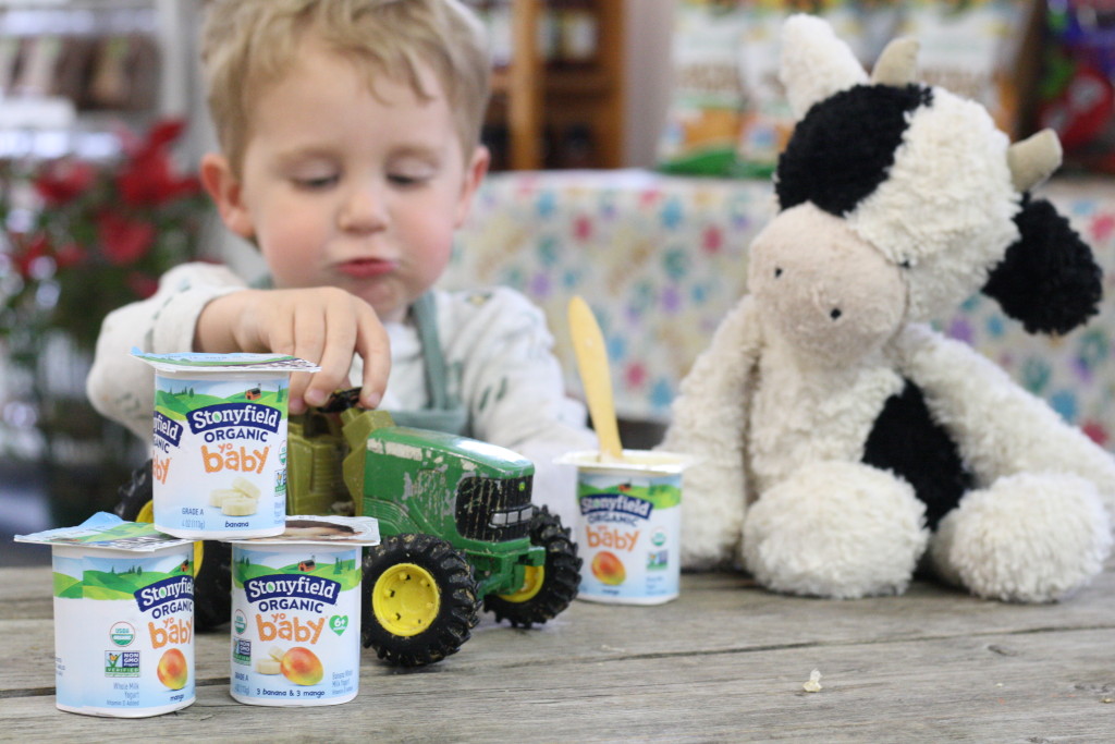 Snack Time at the Farm with Stonyfield YoBaby Banana Mango Yogurt