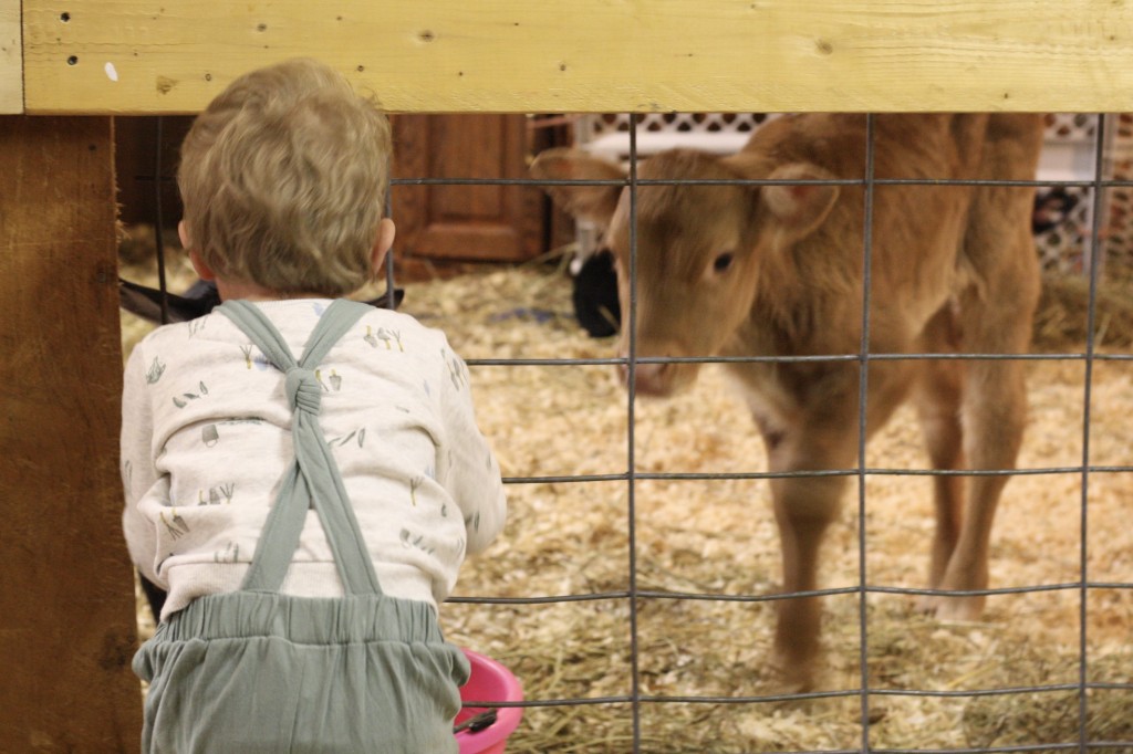 Snack Time at the Farm with Stonyfield YoBaby Banana Mango Yogurt