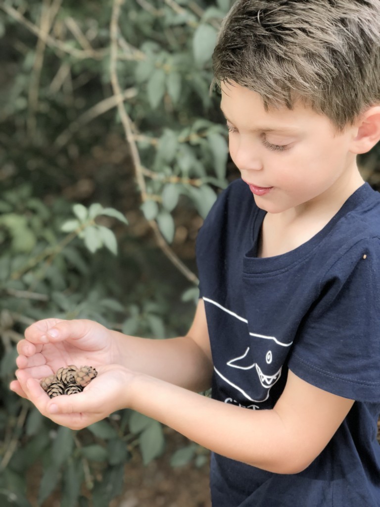 Fall Bucket List - nature walk - From the Family